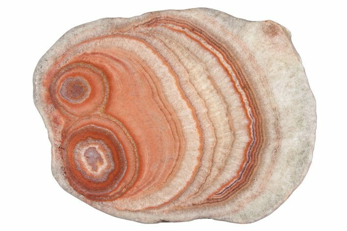 Polished Potato Agate Slice - England #283095